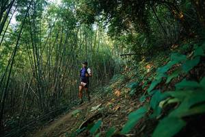 BIB: 
                            <button type="button" onclick="openModal(28141375)" class="btn btn-primary btn-sm float-right btn-popup" data-toggle="modal" data-target=".modal-high-quality">
                        <i class="fas fa-shopping-cart"></i> Add to Cart
                    </button>
                                            <button type="button" onclick="isThisMe(28141375, true)" class="btn btn-success btn-sm float-right btn-popup btn-isme hidden" data-toggle="tooltip" data-placement="bottom" title="นี่คือรูปของคุณใช่ไหม คลิกที่นี่เพื่อเอาเข้าอัลบั้ม">
                        <i class="fas fa-plus"></i> Add to album
                    </button>
                    <button type="button" onclick="isThisMe(28141375, false)" class="btn btn-warning btn-sm float-right btn-popup btn-isnotme hidden">
                        <i class="fas fa-ban"></i> Remove from album
                    </button>